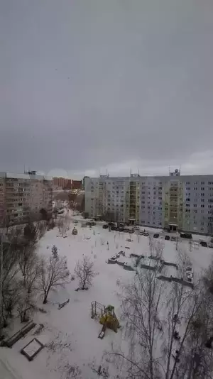 Фото к объявлению #21900378