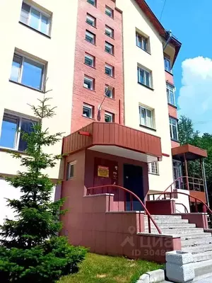 Фото к объявлению #20608031