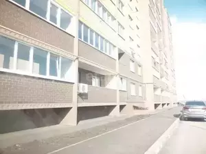Фото к объявлению #20599819