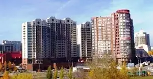 Фото к объявлению #21052217