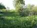 Фото к объявлению #