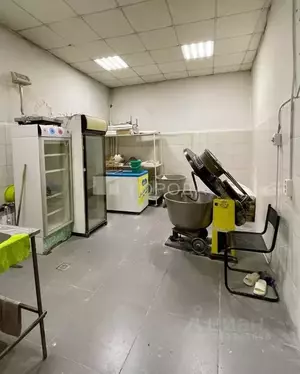 Фото к объявлению #22212950