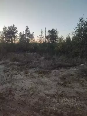 Фото к объявлению #22267813