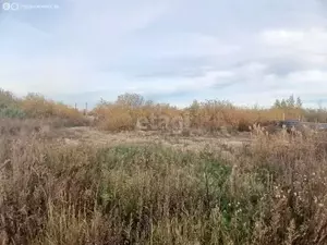 Фото к объявлению #21286342