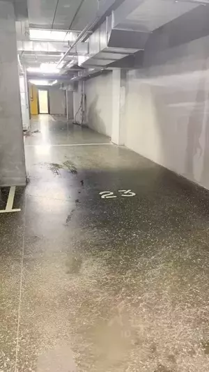 Фото к объявлению #20380152