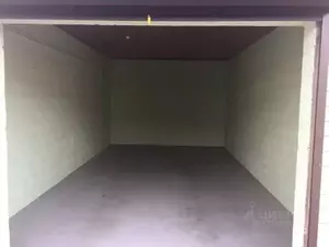 Фото к объявлению #22207591