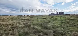 Фото к объявлению #22215904