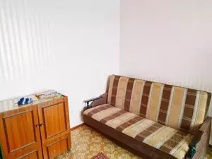 Фото к объявлению #19765752