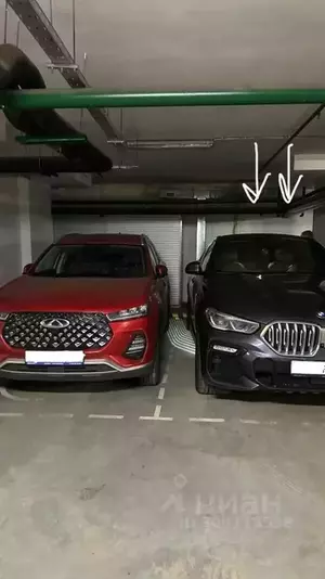 Фото к объявлению #21514311