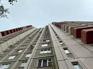 Фото к объявлению #21267696