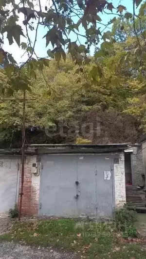 Фото к объявлению #22262380