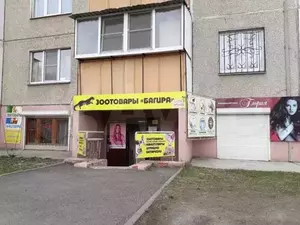 Фото к объявлению #20886181