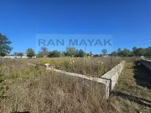 Фото к объявлению #22263553