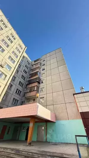 Фото к объявлению #22186294