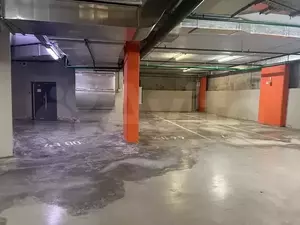 Фото к объявлению #21256206