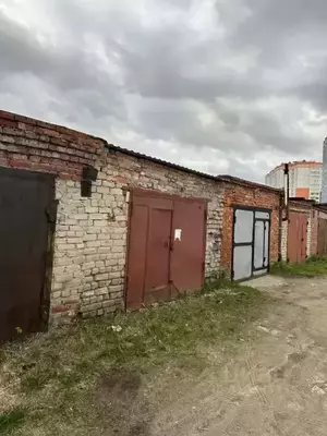 Фото к объявлению #22079864