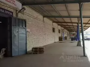 Фото к объявлению #22289525