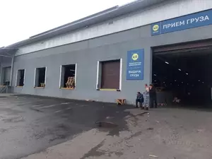 Фото к объявлению #22134420