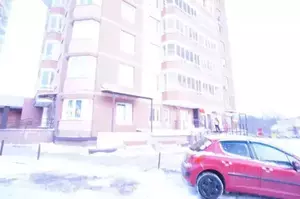 Фото к объявлению #20055237