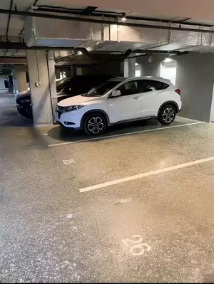 Фото к объявлению #21969406