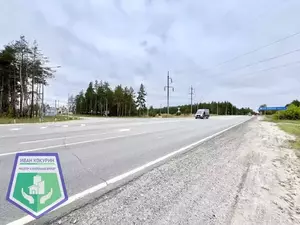 Фото к объявлению #22197519