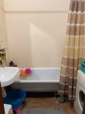 Фото к объявлению #20662472