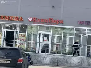 Фото к объявлению #22236900