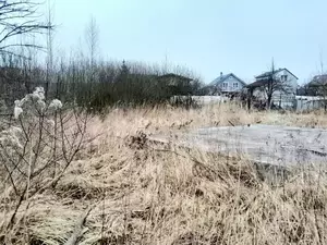 Фото к объявлению #22254723