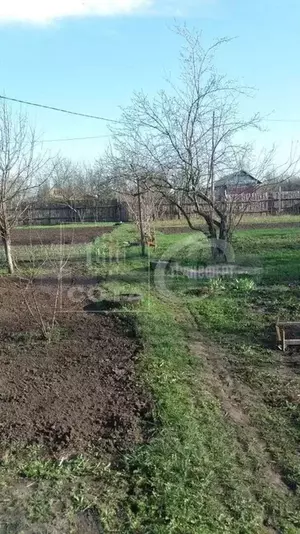 Фото к объявлению #21454023