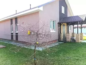 Фото к объявлению #22245596