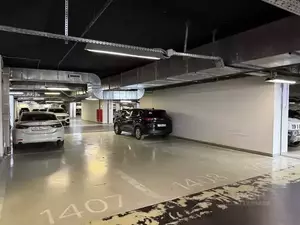 Фото к объявлению #22211625