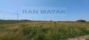 Фото к объявлению #22079519