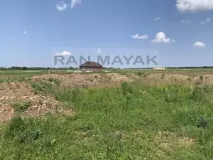 Фото к объявлению #22210241