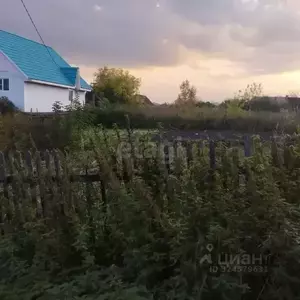 Фото к объявлению #22249482