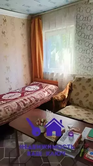 Фото к объявлению #20810750