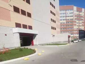 Фото к объявлению #21747429