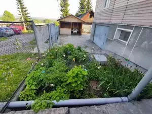 Фото к объявлению #20518361