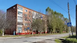 Фото к объявлению #22241575