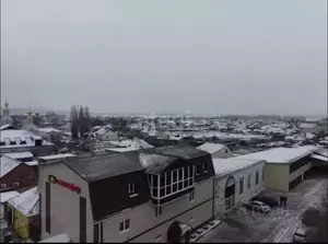 Фото к объявлению #20447474