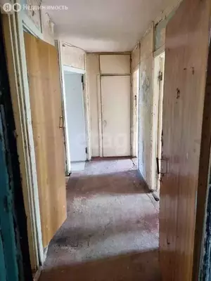 Фото к объявлению #21081913