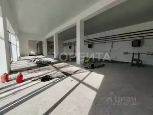 Фото к объявлению #22260531