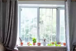 Фото к объявлению #20930111