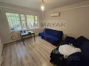 Фото к объявлению #20817841