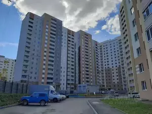 Фото к объявлению #22080138
