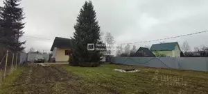 Фото к объявлению #20230289