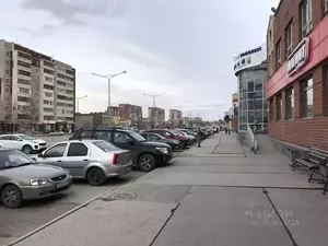 Фото к объявлению #21927904