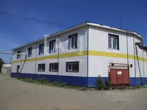 Фото к объявлению #22289126