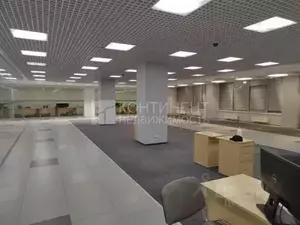 Фото к объявлению #19760844