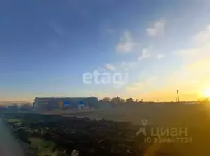 Фото к объявлению #22256935