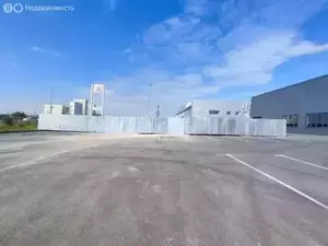 Фото к объявлению #21087984